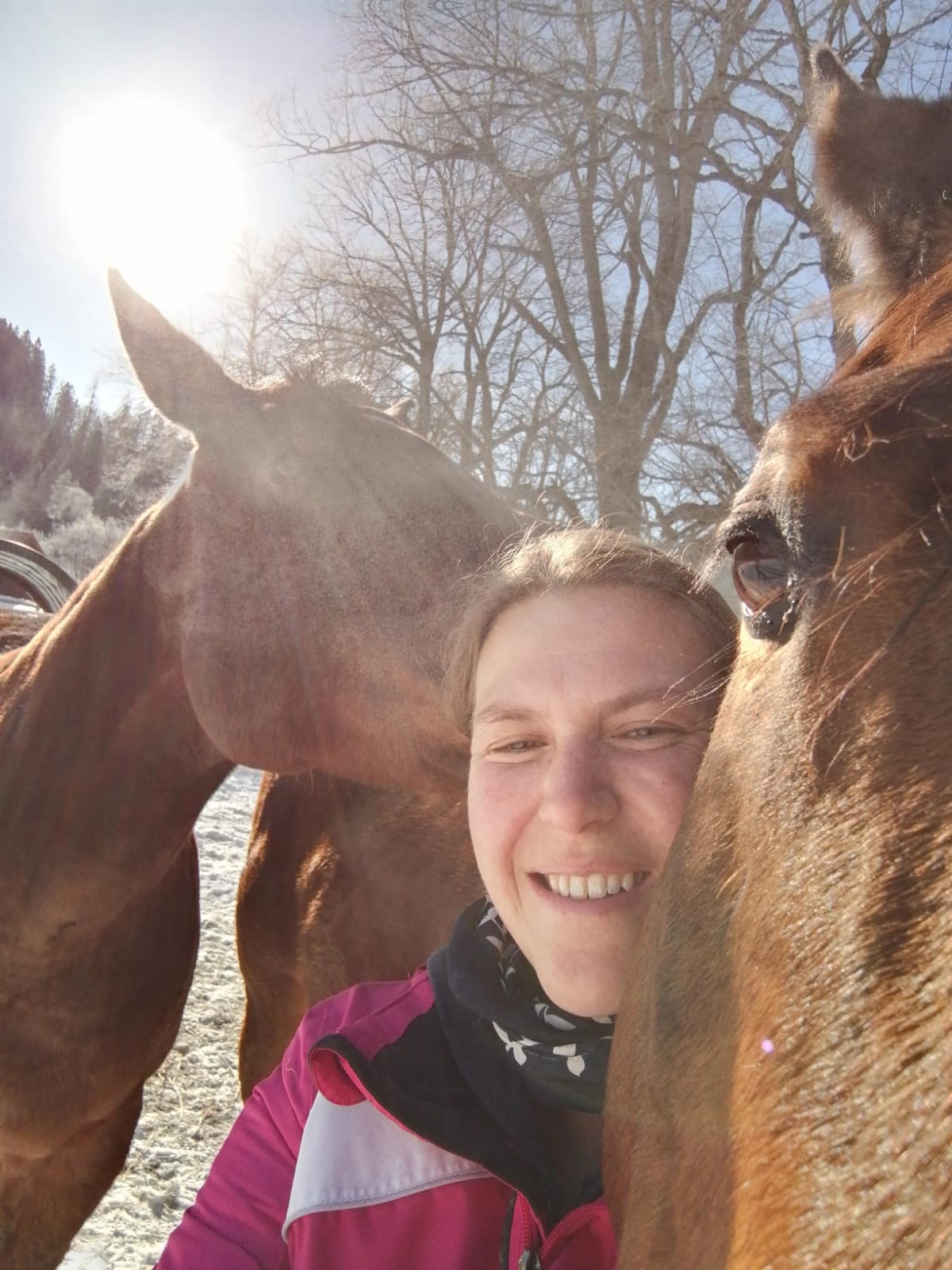 Sandra mit mehreren Pferden