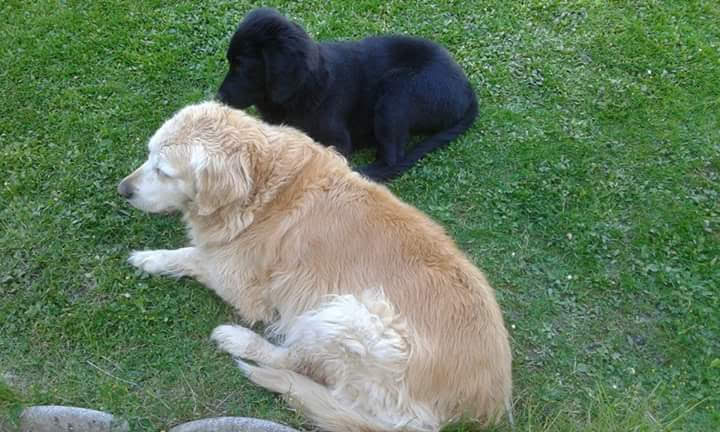 Fanny und Baby Chilli